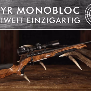 Steyr Monobloc leseno kopito